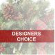 Send Florist-Designed-Plants-in-a-Basket to Argentina