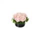 Send Small-Flower-Box-Pink-Roses to Sweden