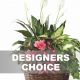 Send Arrangement-of-Plants to Palau