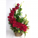 Send Spiral-Premium to Antigua and Barbuda
