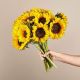 Send Sunflower-Bunch-Mid to South Africa