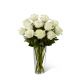 Send The-White-Rose-Bouquet-by-FTD-VASE-INCLUDED to Costa Rica