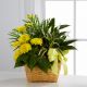 Send The-FTD-Loving-Light-Dishgarden-Min to El Salvador