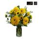 Send Van-Gogh-Sunflowers to Australia