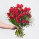 Send Tulips-of-love to Czech Republic