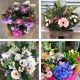 Send Bouquet-of-Seasonal-Flowers to United Kingdom