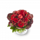 Send Christmas-Bouquet-Noella to Belgium