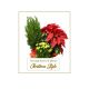 Send Arrangement-of-plants-Christmas-Style to Albania