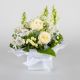 Send White-Blooms to Australia