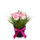 Send Sweet-Easter-present-Min to Switzerland