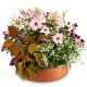 Send Planter-Always-Remembered-for-the-cemetery to Liechtenstein