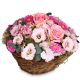 A Flower Greeting in Delicate Colors