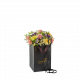 Send Spring-Classic-250302 to Norway