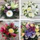 Send Arrangement-of-Cut-Flowers to United Kingdom
