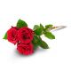 Send Three-graduation-roses to Finland
