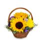 Send Power-of-Summer to Liechtenstein