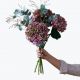 Send Hydrangea-for-Fall-240418 to Norway