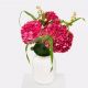 Send Hydrangea-Delight to Germany