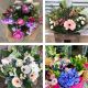 Send Bouquet-of-Seasonal-Cut-Flowers to United Kingdom