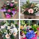 Send Hand-tied-Bouquet to United Kingdom