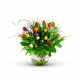 Multi Tulipa