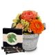 Send Flower-arrangement-Good-Feeling-with-Gottlieber-Hueppen-G to Switzerland