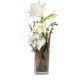 Send Indoor-plant-For-my-Angel-amaryllis to Switzerland