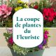 Plant section from the florist