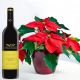 Send Poinsettia-Plant-and-Red-Wine to Estonia