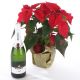 Send Poinsettia-Plant-and-Sparkling-Wine to Latvia