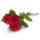 Send 3-red-roses to Finland