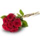 Send 7-red-roses to Finland