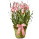 Send A-Gift-of-Spring-in-Pink-planted to Switzerland