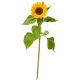 Send A-Small-Sun-1-sunflower to Liechtenstein