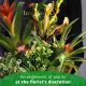 Send ARRANGEMENT-OF-PLANTS to Andorra