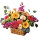 Send Basket-of-Mixed-Flowers to Guatemala