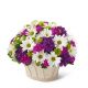 Send Blooming-Bounty-Bouquet-Basket-included to Turks and Caicos Islands
