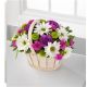 Send Blooming-Bounty to Argentina