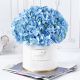 send Blue-Beauty-Flower-Box-Mid to India