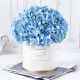 Send Blue-Beauty-Flower-Box to India