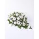 Send CARNATION-AND-GERMINI-TEARDROP-SPRAY-WHITE to United Kingdom