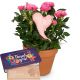 Send Heartfelt-Surprise-rose-plant-with-heart-with-bar-of-chocolate-Thank-you to Liechtenstein