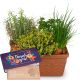 Send Herb-Box-planted-with-bar-of-chocolate-Thank-you to Switzerland