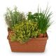Send Herb-Box-planted to Austria