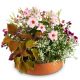 Send Loving-Outdoor-Flower-Bowl to Liechtenstein