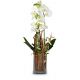 Send Magic-orchid-with-vase to Liechtenstein