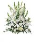 Send Morning-Stars-Arrangement to Guatemala