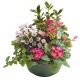 Send Plants-arrangement-for-funeral to Luxembourg