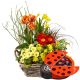 Send Playful-Spring-Mini-Garden-planted-with-chocolate-ladybird to Switzerland