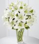 Send Spirited-Grace-Lily to Turks and Caicos Islands
